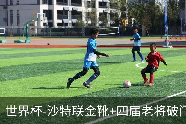 世界杯-沙特联金靴+四届老将破门 十人墨西哥2-0九人南非